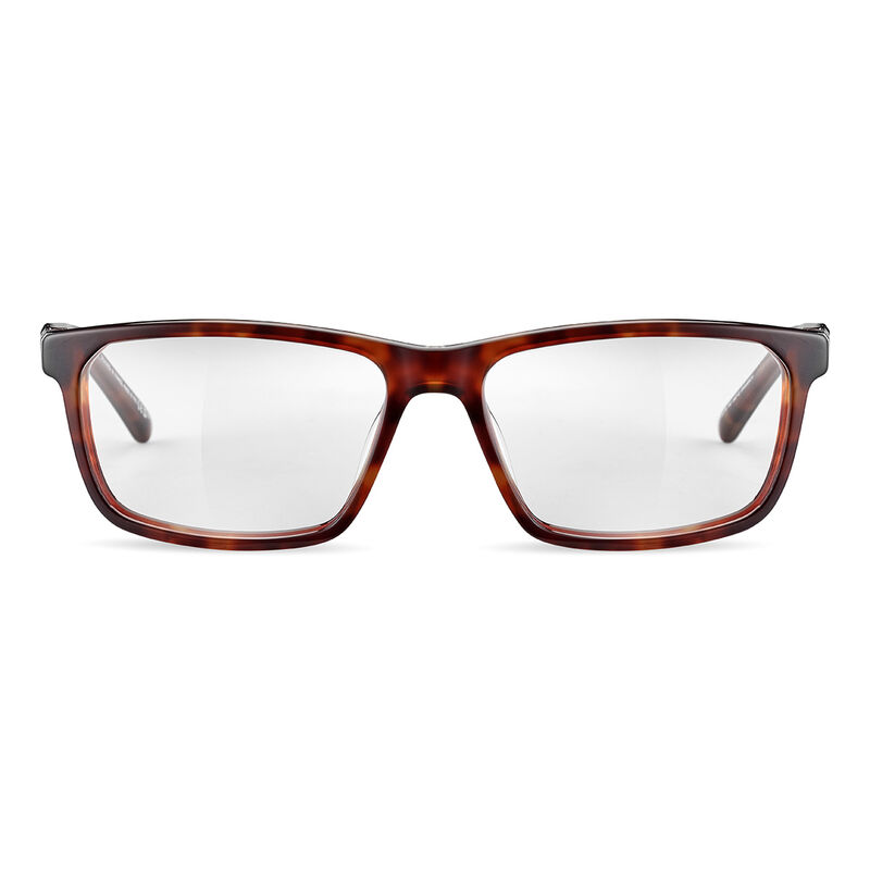 JASP 03, Havana Shiny-, hi-res image number null